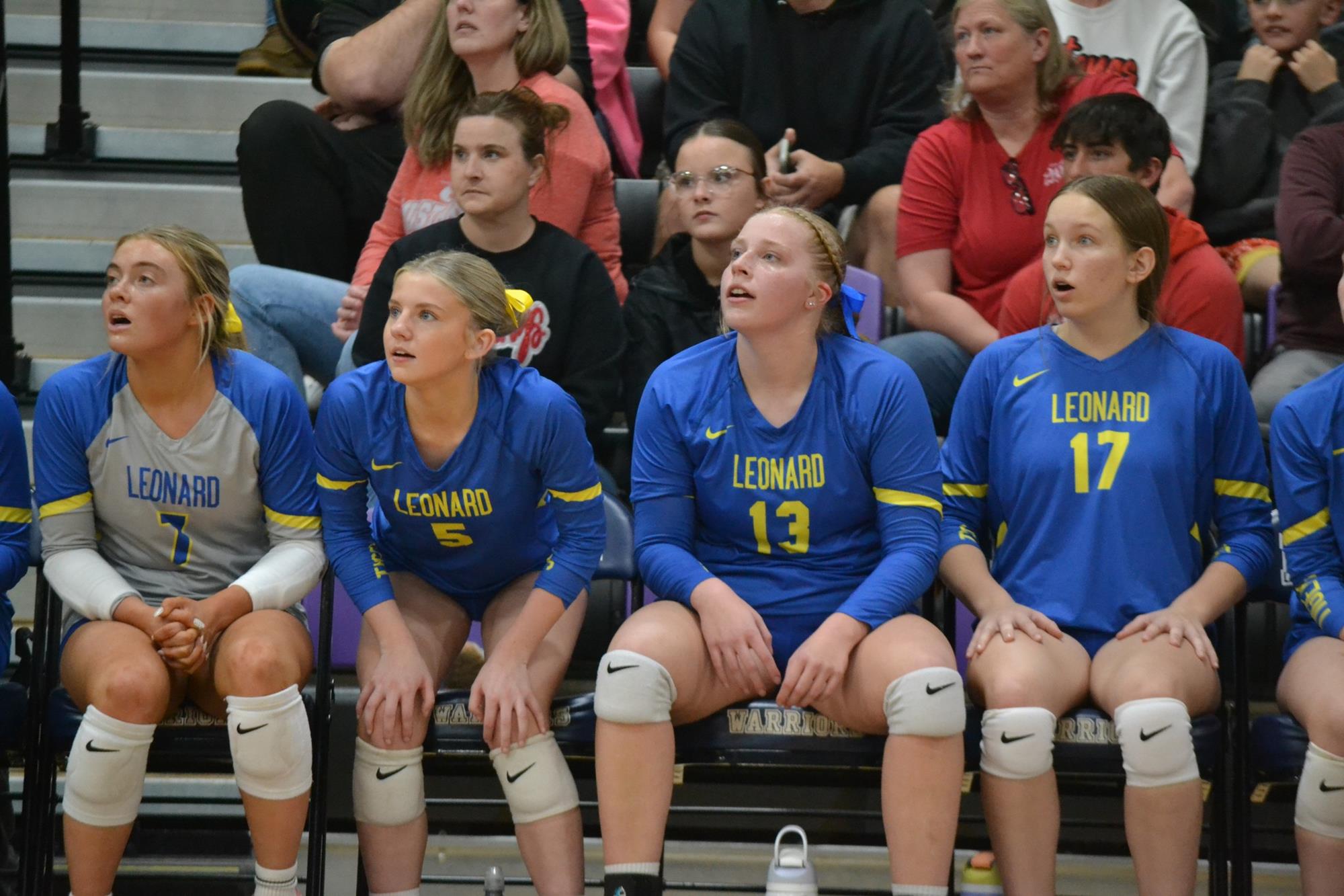 Chrisstmas Post Card